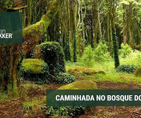 Carriche 3 Δωμάτια σε οικογενειακή κατοικία Lisboa